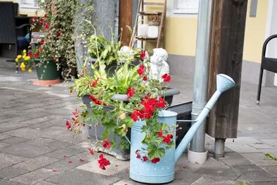 Galerie Pflegeheimat Vergissmeinnicht